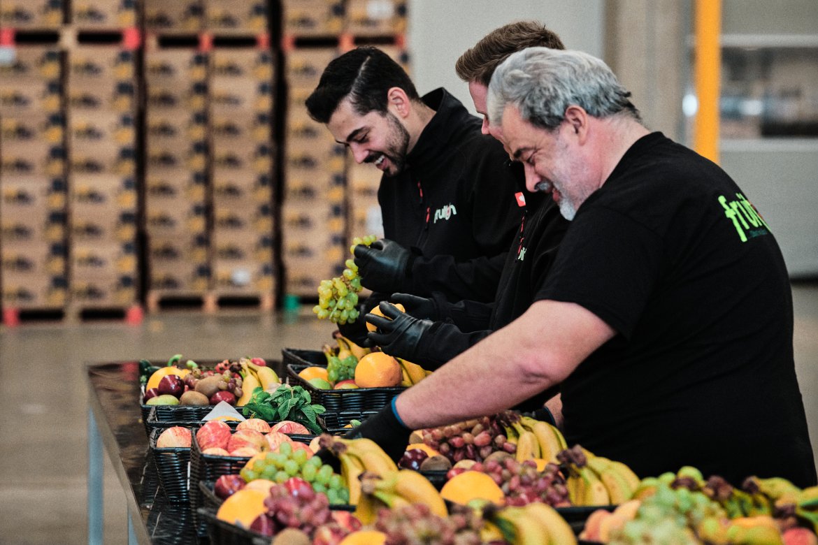 Webdesign Referenz: Fruiton GmbH - Impression