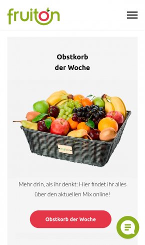 Webdesign Referenz: Fruiton GmbH - Mobile Screenshot