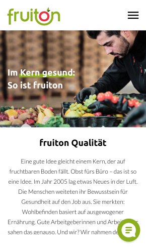 Webdesign Referenz: Fruiton GmbH - Mobile Screenshot