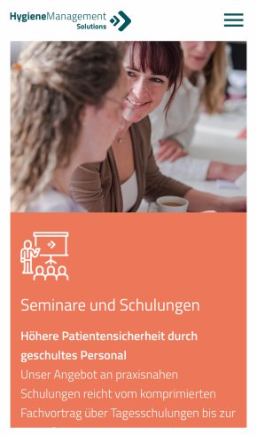 Webdesign Referenz: HygSo GmbH & Co. KG - Mobile Screenshot