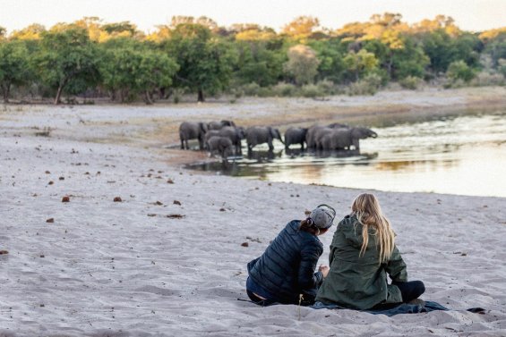 Webdesign Referenz: Namibia Individual - Impression