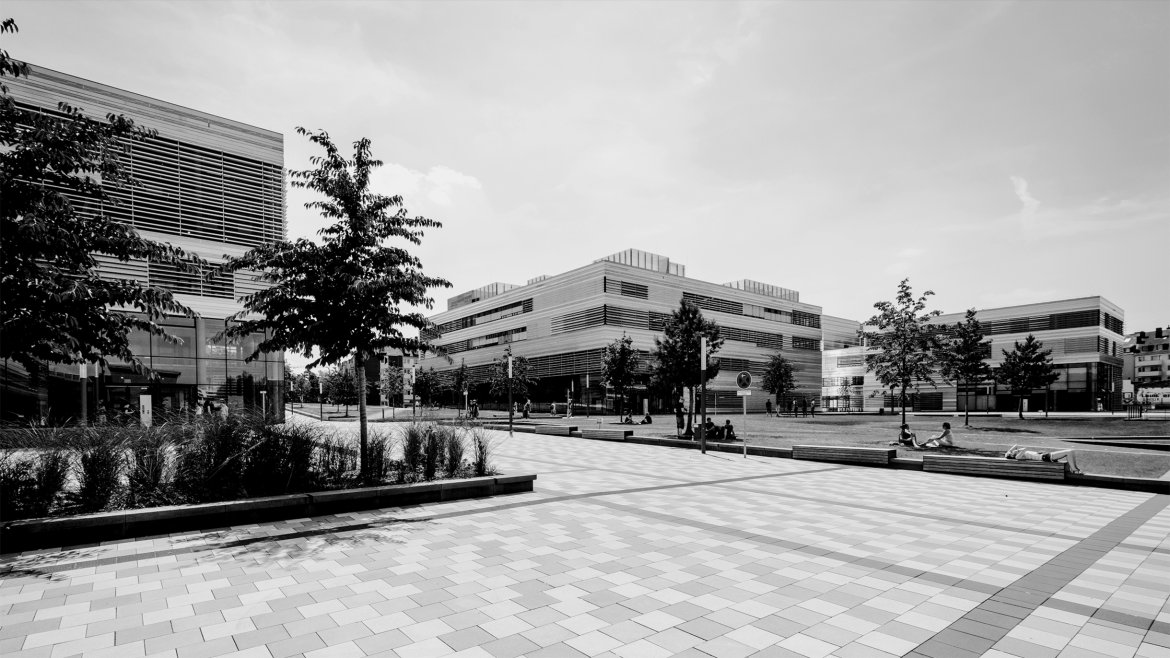 Webdesign Referenz: SDMA - Impression